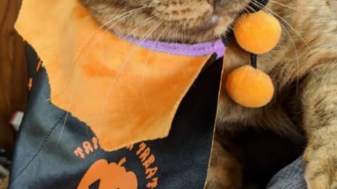 アテにはしてないんだけど・・・