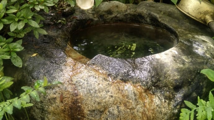 芹沢光治良先生のこと (2)