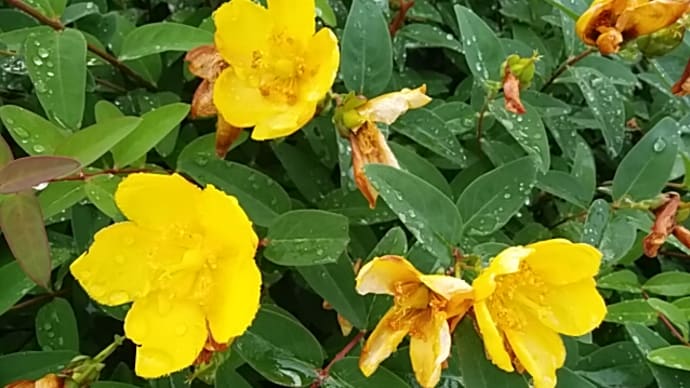 虹を追ふ次のインターチェンジまで/森 青萄