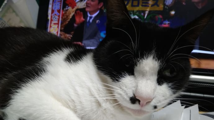 先にやっとくことにした