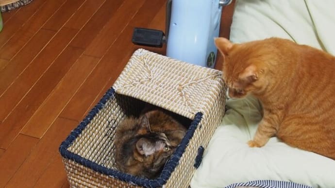 まぁ・・・こういうことも想定内