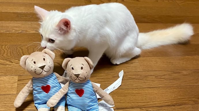 トノとヒメにIKEAに行ってきたお土産