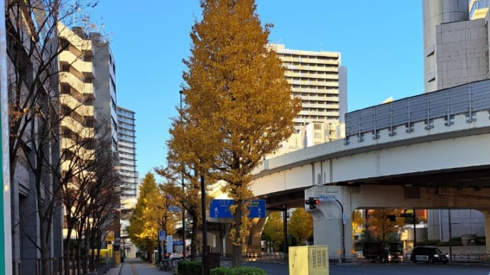 人によって良くも悪くもなります!