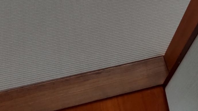 縁なし畳