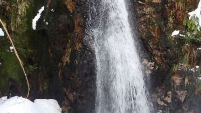 2022年1月15日(土)　[マキノ]マキノ高原・調子ヶ滝へ、雪たっぷりのスノーシュー！