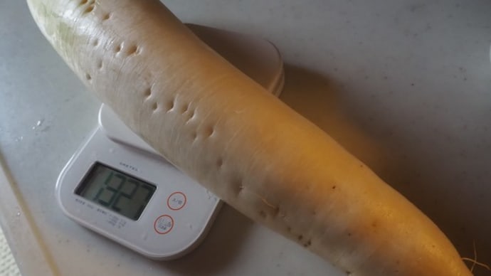 自家製麹でべったら漬