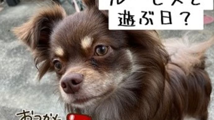 父の日