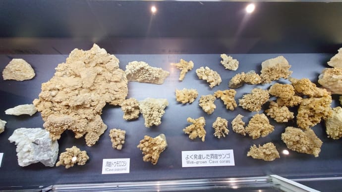 遠州地区最大の鍾乳洞・竜ヶ岩洞に行きました。(その5)