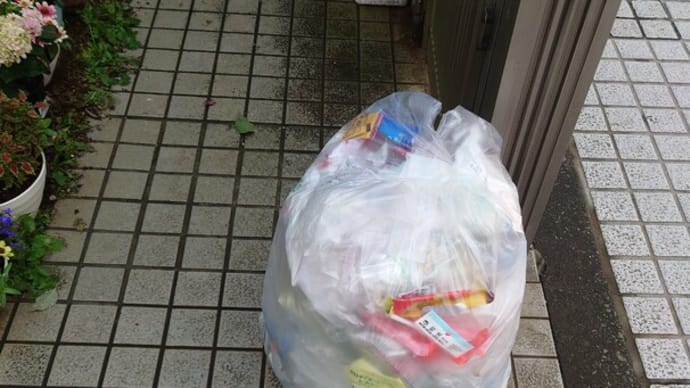 資源プラスチックの有料化の議案が可決しました😿(12/7建設環境委員会)