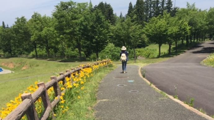 貸し切り公園💕