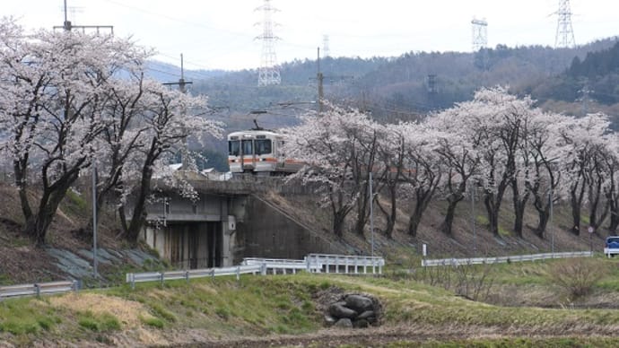 4月19日撮影 中央東線はみどり湖の桜と絡めて その1 313系編