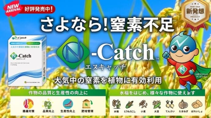 株式会社ファイトクロームの製品を使った稲の実証栽培