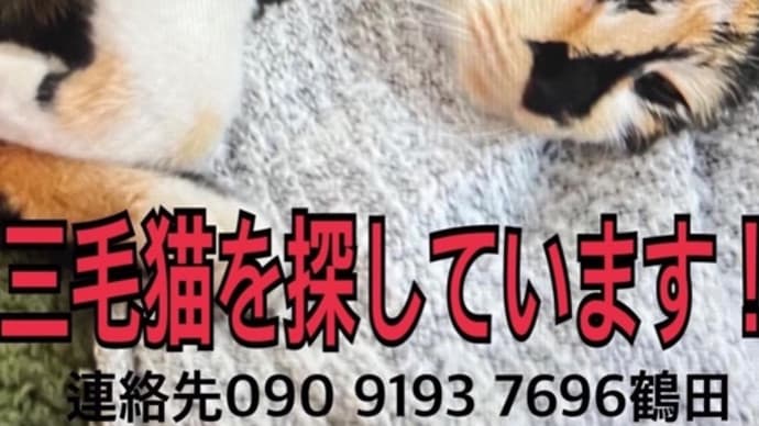 みーちゃんか?!!