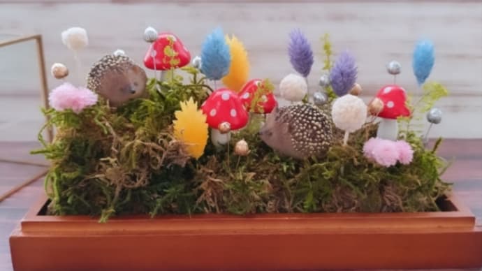 苔テラリウム ハリネズミアレンジ
