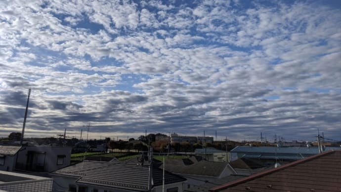 夜の空を見て暮らしてる。