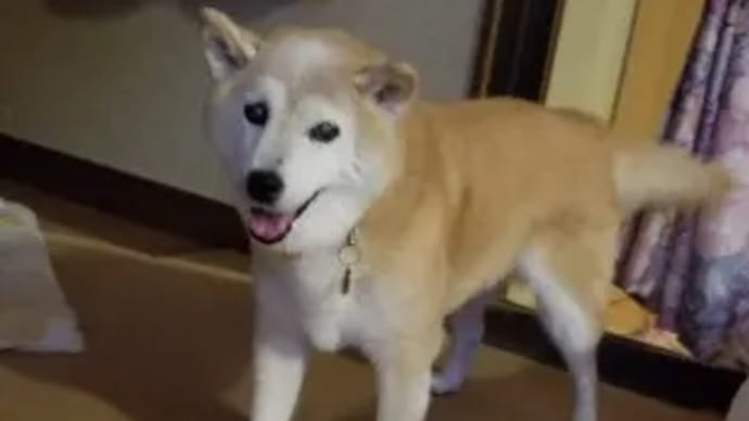クリンへの想いは尽きなくて・・・28