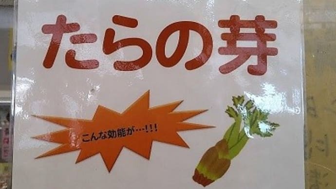 タラの芽の選び方と保存方法