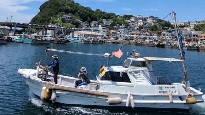 日本のアマルティ 雑賀埼 ショートビデオ♫