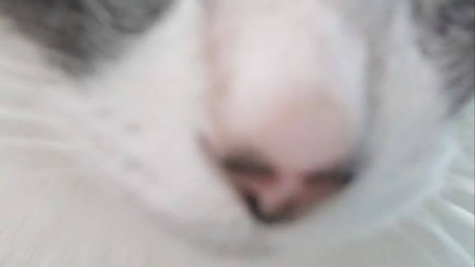 末っ子コレクション④