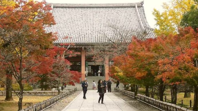京都紅葉:智積院から建仁寺!