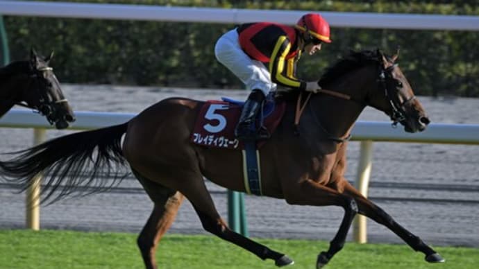 24府中牝馬ステークスの写真