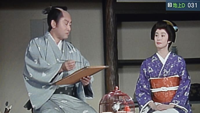 隠密奉行　朝比奈１　ドラマの紹介