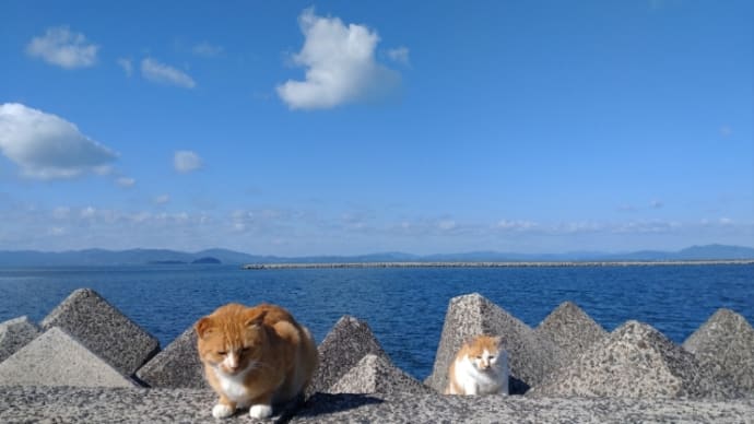 今年は全部足してみよう