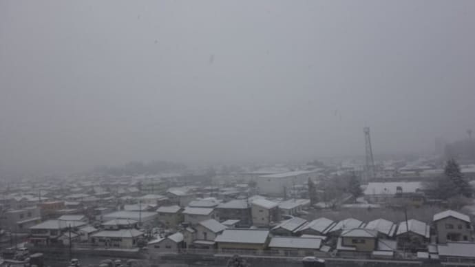 初雪です