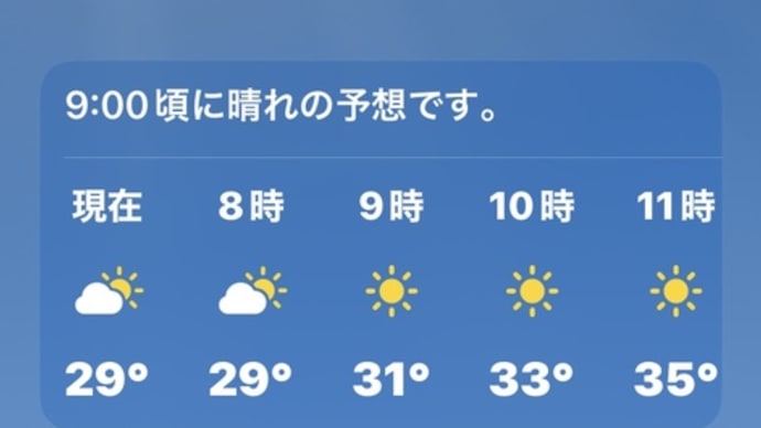 溶けていますよ!と言われました。