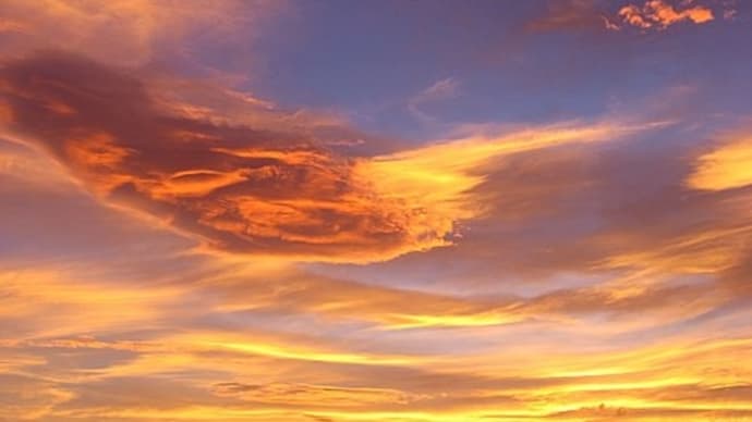 06年8月6日夕方からが仕事。