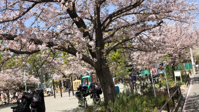 4月の短歌