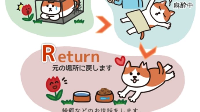 TNRとは何か?