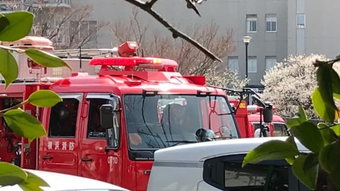 近くで火事が?