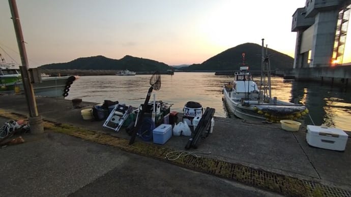和歌山チヌ釣り遠征は~