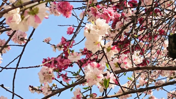 2019年の4月1日は月曜日