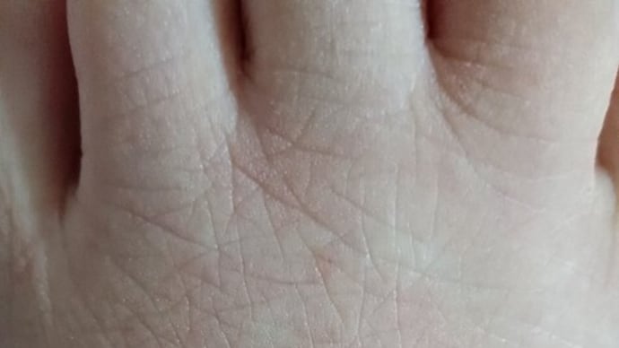 ♪ さくら♪はいつも、1日に3日分の人生を生きておりますが、今日はまた特別で(その①)