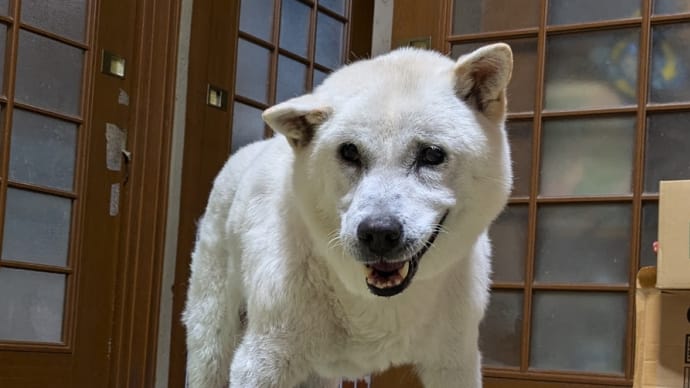 振り幅小さく