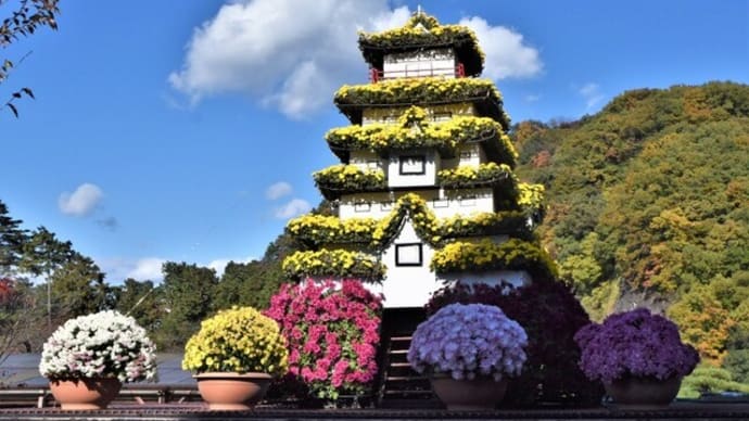 ながめ公園の菊花大会 No.1