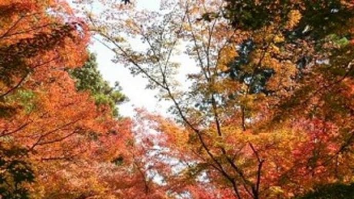 16、松風 ④