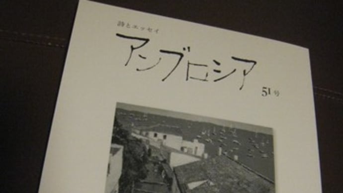 「思い違いだらけ」（『アンブロシア』51号より）