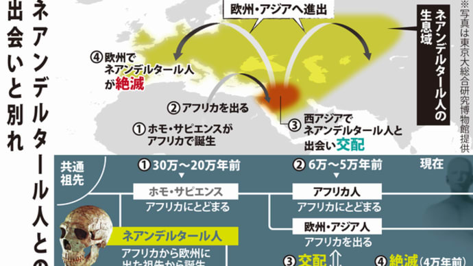 「最初のホモ・サピエンス」の出アフリカまで