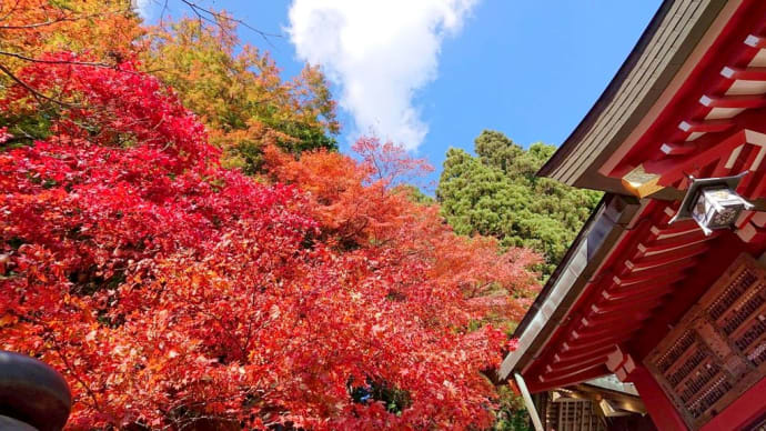 【感】紅葉を探しに大山へ行く