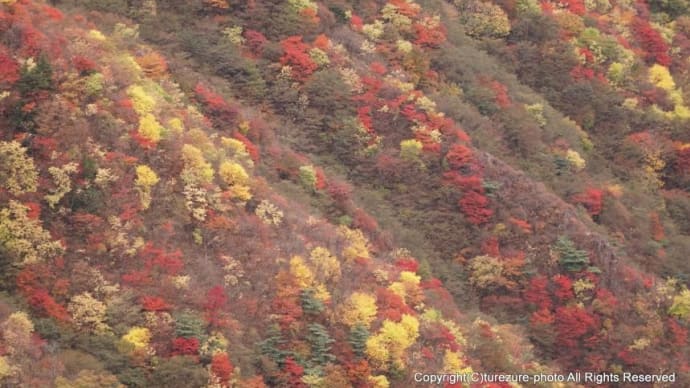 2022奥日光紅葉・半月山展望台/八丁出島