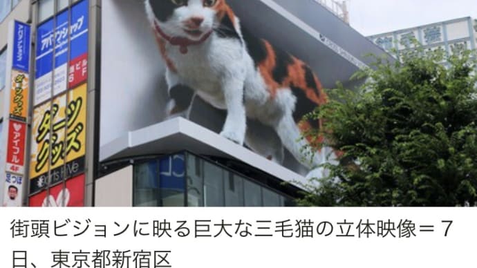 3D看板らしい､､､。