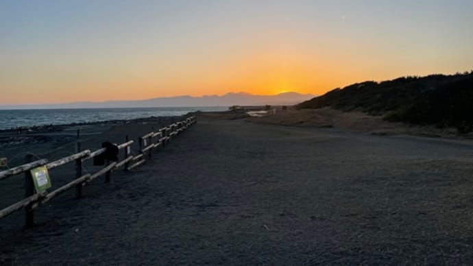 久々の夕方ラン、