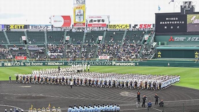 独酌酔言:高校野球はいったい誰のモノなのか?