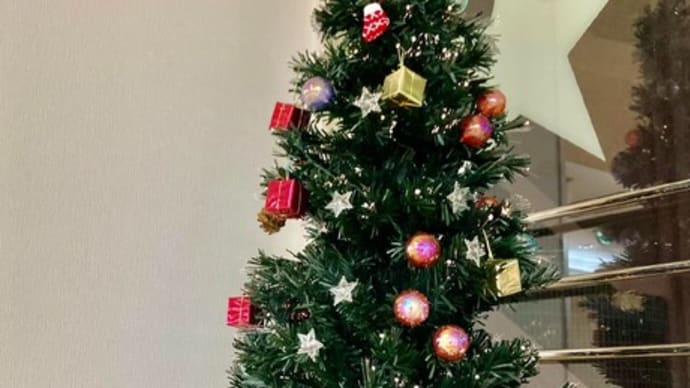 クリスマスツリーを飾ってます【福岡市社交ダンス教室・福岡市社交ダンススタジオ・薬院、柳橋、渡辺通・福岡のダンススクールライジングスター】