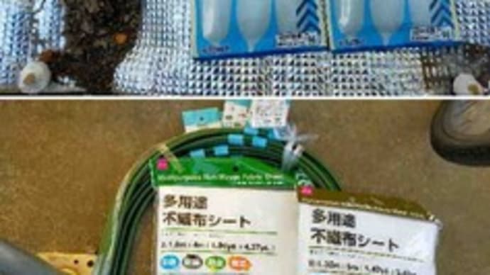 大根の花壇畑に不織布のトンネルを設置