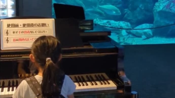 水族館のピアノ