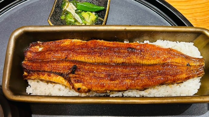 京都駅ビル→「うなぎ四代目菊川」京都ポルタ店で「蒲焼き一本重」を満喫😋👍